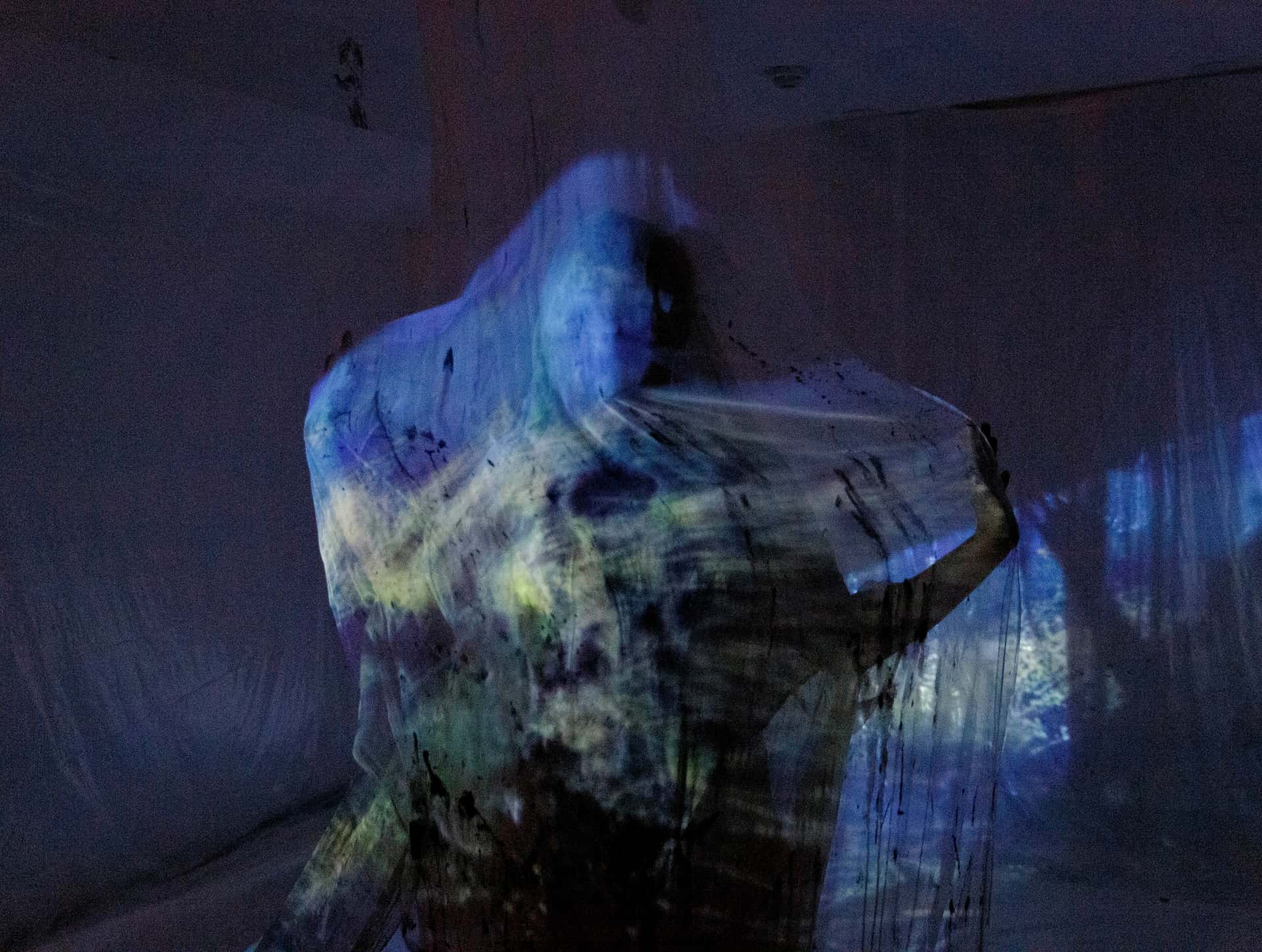 documentation from a performance of La Llorona by a collective of artists in west-end toronto